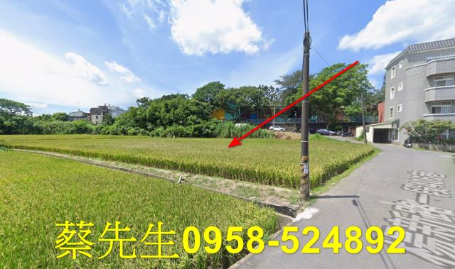楊梅法拍農地-14