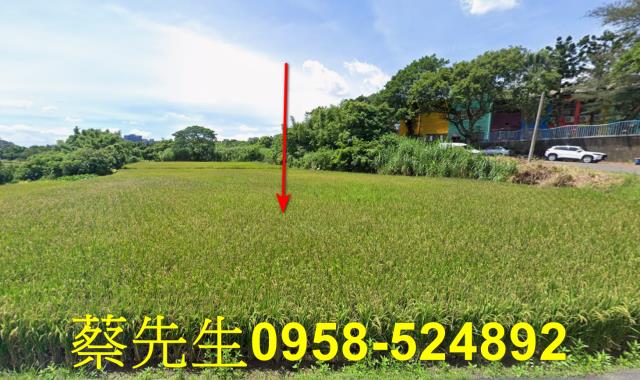楊梅法拍農地-0