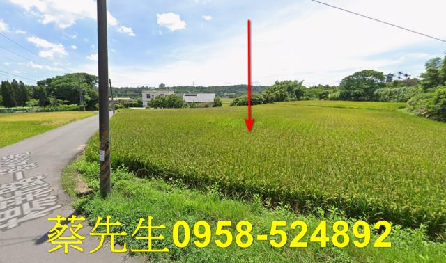 楊梅法拍農地-3
