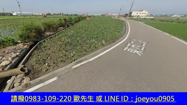 大安區法拍農地-9