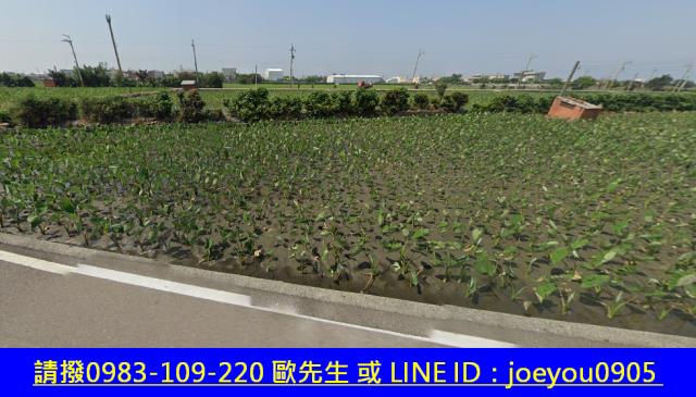 大安區法拍農地-10