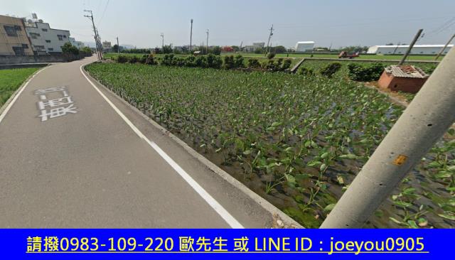 大安區法拍農地-11
