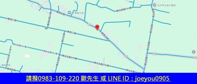 大安區法拍農地-13