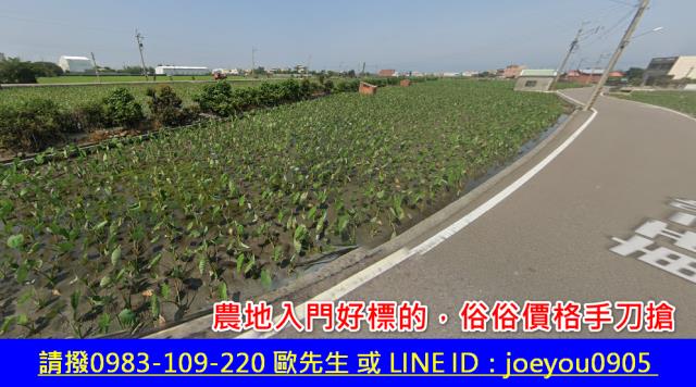 大安區法拍農地-2