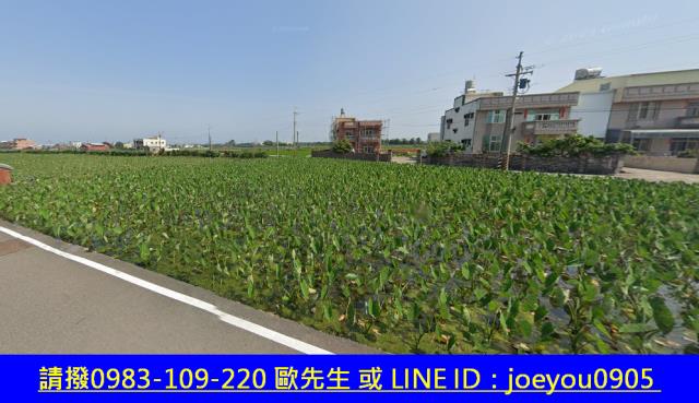 大安區農地法拍-10