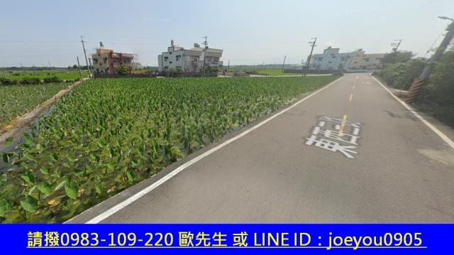 大安區農地法拍-3