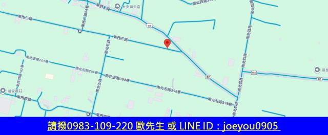 大安區農地法拍-7