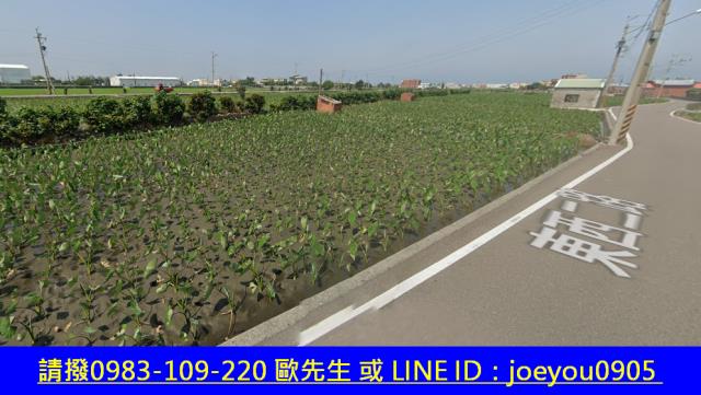 大安區農地法拍-9