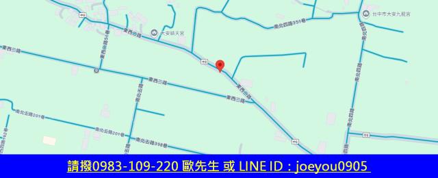 大安區農地法拍-13