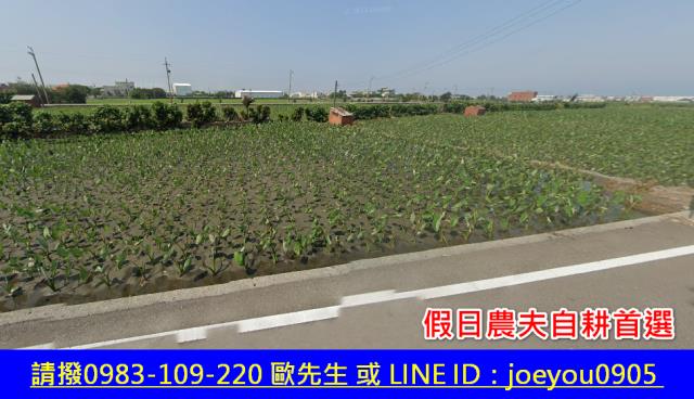 大安區農地法拍-2