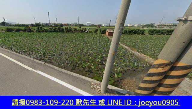 大安區農地法拍-4