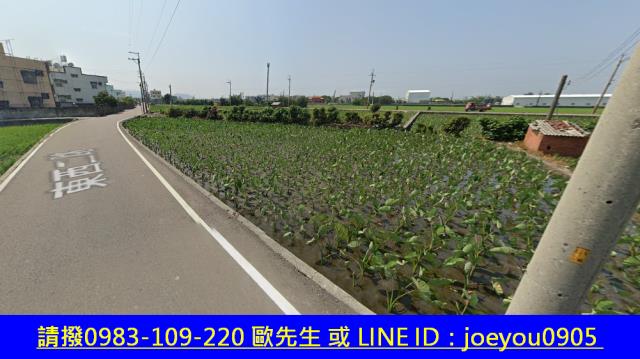 大安區農地法拍-5