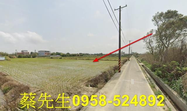 桃園觀音法拍農地-13