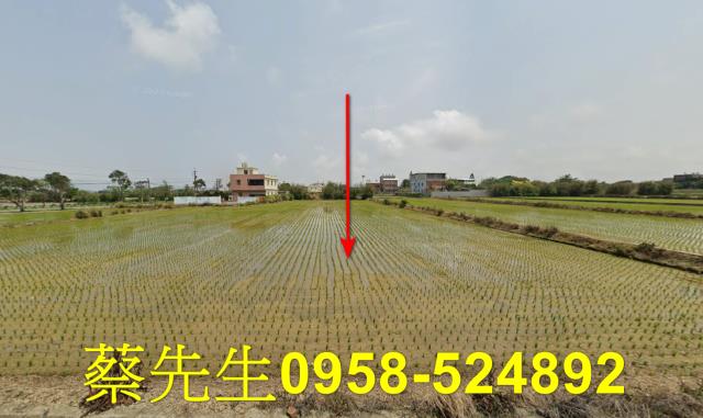 桃園觀音法拍農地-8