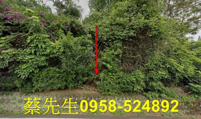 新埔法拍農地-0