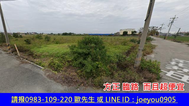 雲林四湖農地法拍-2
