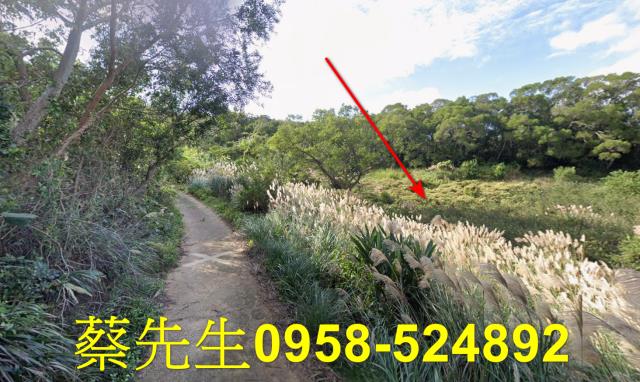 苗栗市農地拍賣-11