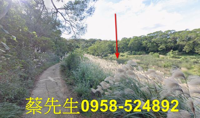苗栗市農地拍賣-12