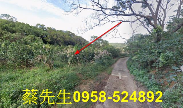 苗栗市農地拍賣-13