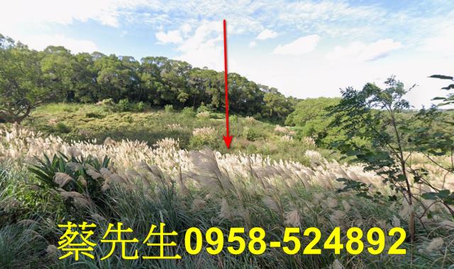 苗栗市農地拍賣-0
