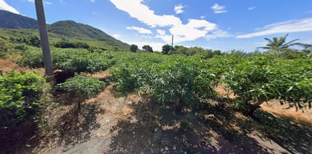 屏東枋山法拍農地-0