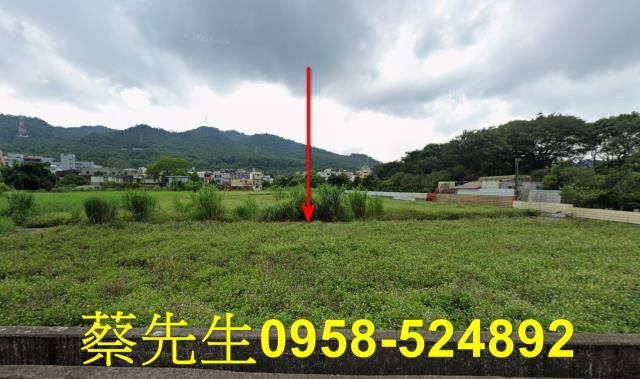 三義農地法拍-8