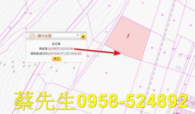 秀林拍賣農地-9