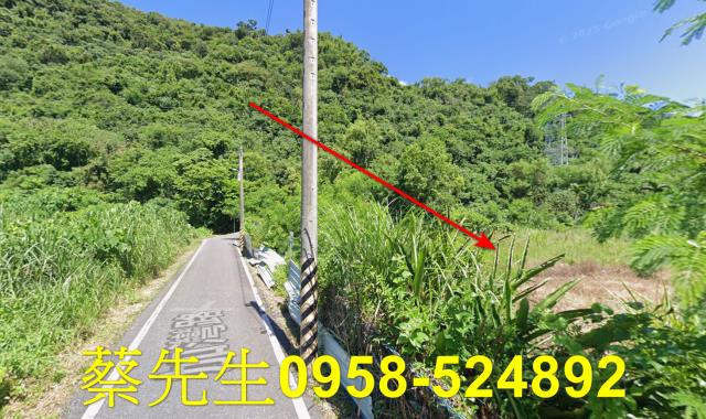 秀林拍賣農地-11