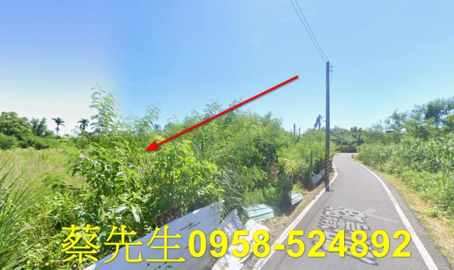 秀林拍賣農地-13