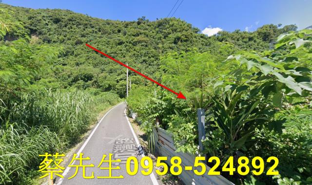 秀林拍賣農地-4