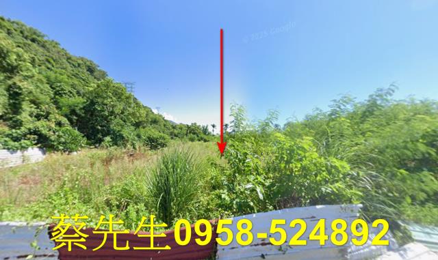 秀林拍賣農地-8