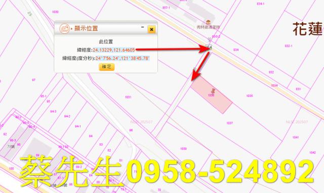 秀林法拍農地-9