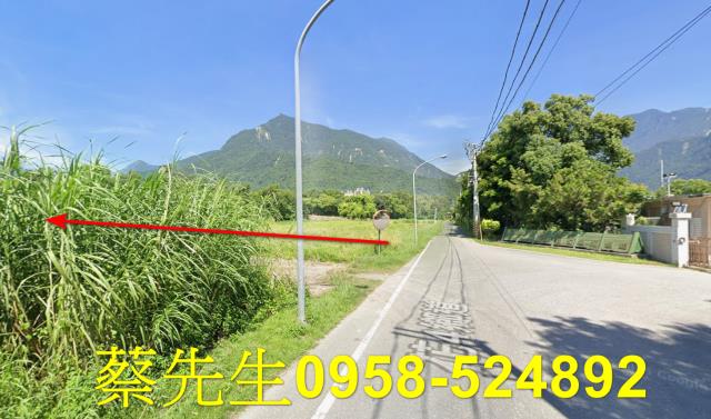 秀林法拍農地-14