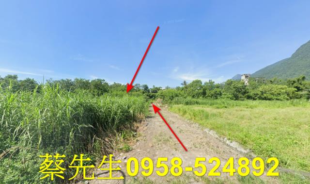 秀林法拍農地-5