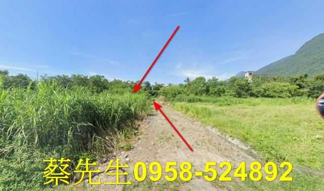 秀林法拍農地-8