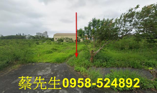 吉安建地法拍-0