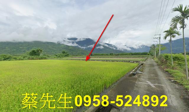 鳳林法拍農地-11