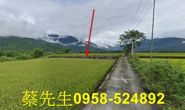 鳳林法拍農地-12