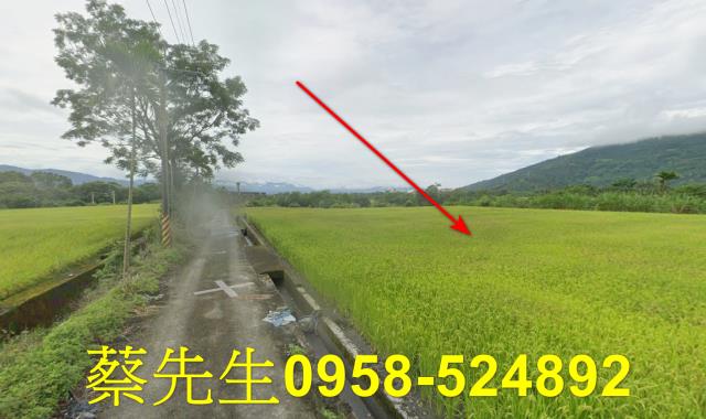 鳳林法拍農地-13