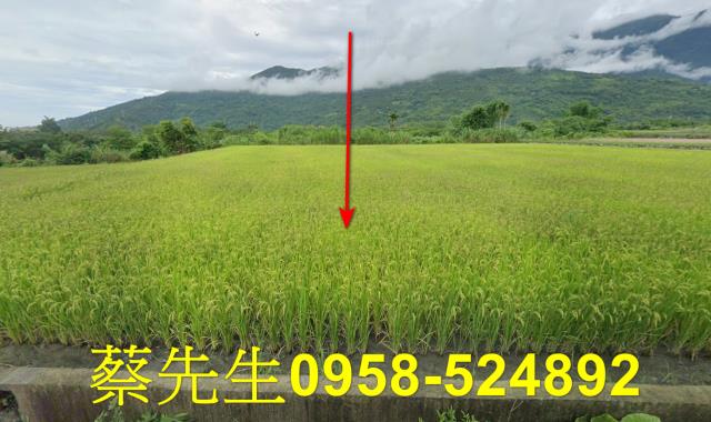 鳳林法拍農地-0