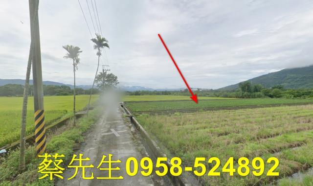 鳳林法拍農地-6