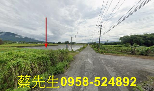花蓮農地法拍-12