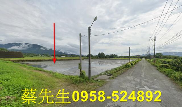花蓮農地法拍-3