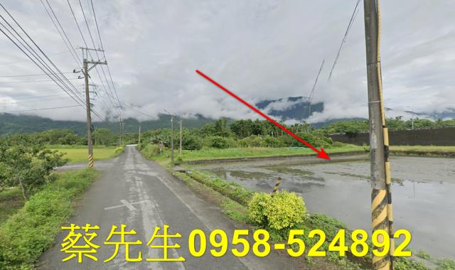 花蓮農地法拍-5