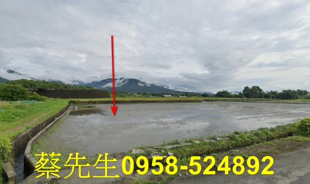 花蓮農地法拍-8