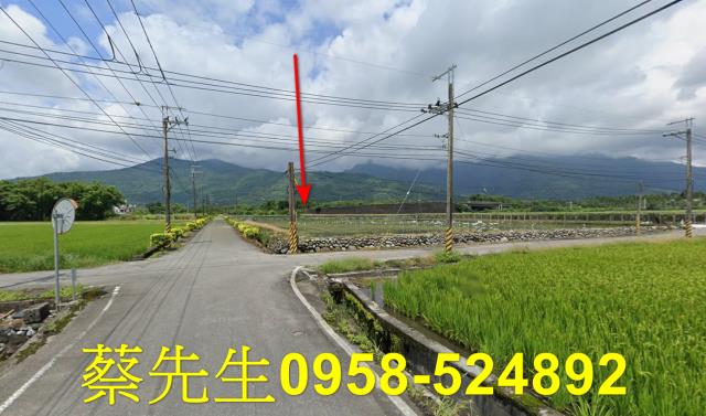 花蓮農地法拍-13