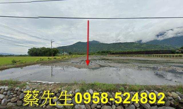 花蓮農地法拍-6