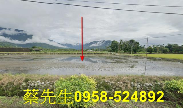 花蓮農地法拍-8