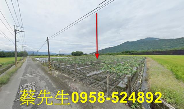 花蓮農地法拍-13