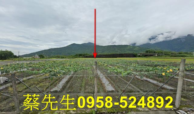 花蓮農地法拍-0